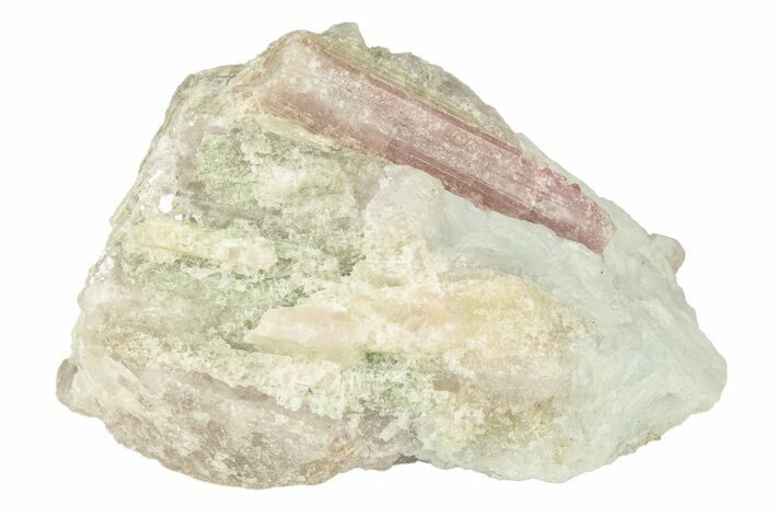 Watermelon Tourmaline (Elbaite) in Quartz - Brazil #257901